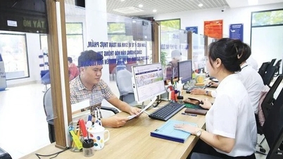 Министерство юстиции руководит обзором и стандартизацией административных процедур на трех уровнях государственного управления