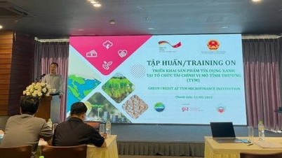 ឥណទានបៃតង៖ ជាជំហានត្រួសត្រាយក្នុងហិរញ្ញវត្ថុបៃតងសម្រាប់ការអភិវឌ្ឍន៍ប្រកបដោយចីរភាព