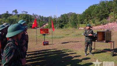 イノベーションを促進し、トレーニングの質を向上させる