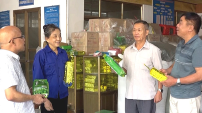 تعزيز إمكانات "الاقتصاد الفضي" في لاو كاي