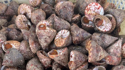 A 'heaven-sent' product from Vietnam's sea has an embarrassing name, is crunchy, sweet and delicious.