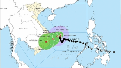 Wettervorhersage für den 30. November: Sturm Nr. 15 bleibt komplex, mit rauer See.