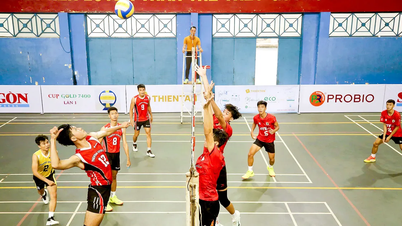 Restructurarea instituțiilor culturale și sportive la nivel local - Partea 1: Impulsul transformării