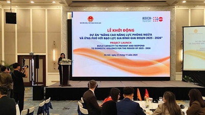 Safe House - ទស្សនៈពីការអនុវត្តច្បាប់ស្តីពីការការពារ និងត្រួតពិនិត្យអំពើហិង្សាក្នុងគ្រួសារ