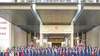 חדשנות מקיפה של עבודת חיקוי ותגמול, המקושרת לשלושת עמודי התווך של פעילות האסיפה הלאומית