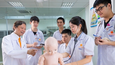 پوسٹ گریجویٹ طبی تربیت: بین الاقوامی طریقوں کے مطابق رجوع کرنے کی ضرورت ہے۔