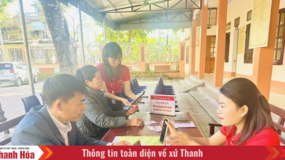 Agribank Thanh Hoa begleitet die Steuerumstellung – Sicherheit für die Entwicklung