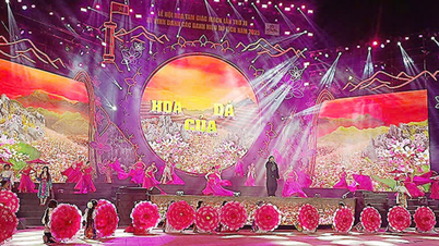 तुयेन क्वांग ने 2025 में बकव्हीट फ्लावर फेस्टिवल का उल्लासपूर्वक उद्घाटन किया