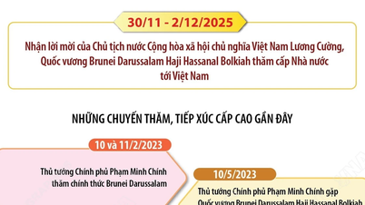 Vietnam-Brunei Kapsamlı Ortaklığı