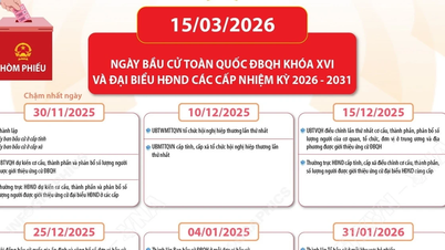 Timeline sebelum dan sesudah pemilihan wakil rakyat di Majelis Nasional ke-16