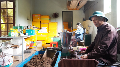 Поширюйте аромат Ланг Вана далеко та широко