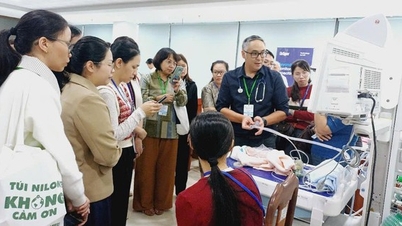 عقد مؤتمر شبكة رعاية الكنغر في دا نانغ