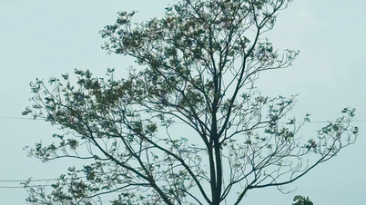 エッセイ：冬の日の街路を歩いて