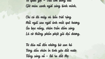 Empreintes dans la mer