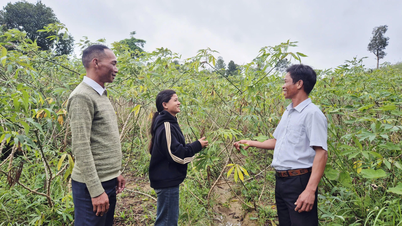 ຜູ້​ທີ່​ໄດ້​ຫັນ​ດິນ​ແຫ້ງ​ແລ້ງ​ໄປ​ເປັນ​ປ່າ​ໄມ້​ຂຽວ