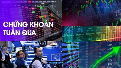 Arus kas yang hati-hati, kelompok berkapitalisasi besar menarik indeks VN naik pada minggu terakhir bulan November