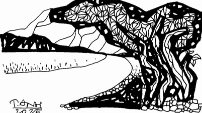 دوپہر کی سورج کی روشنی - Nguyen Tran Duc Anh کی نظم