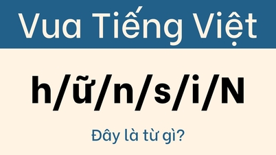 Noem jezelf niet de 'koning van het Vietnamees' als je deze vraag niet binnen 5 seconden kunt oplossen