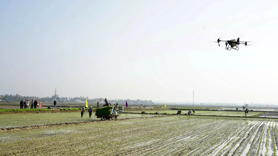 Groene, schone en transparante landbouw opbouwen: Quang Tri streeft naar een duurzame waardeketen