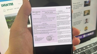 Danh tính công ty đăng quyết định kỷ luật sinh viên thực tập gây xôn xao