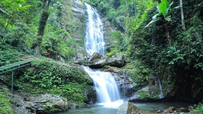 Pu Mat – arcydzieło wielkiego lasu Nghe An