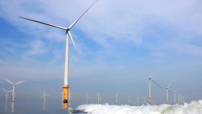 Запропонований ряд політичних рішень, що прокладуть шлях для буму морської вітроенергетики