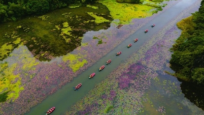 Tam Coc jest słodki w sezonie lotosu