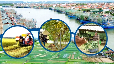 Zdokonalování politik, odstraňování překážek v zemědělském pojištění