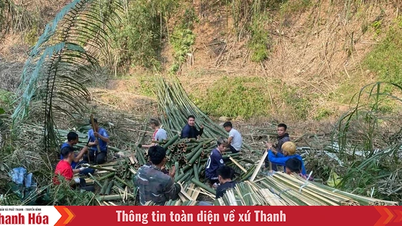 من القرى المتضررة بالفيضانات إلى "البقع المضيئة" للهروب من الفقر