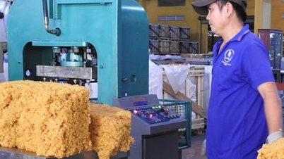 Kauçuk fiyatı bugün 30 Kasım 2025: Bu hafta iyi bir artış