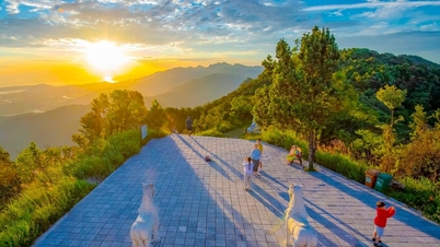 ຟັງປ່າ Bach Ma