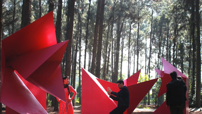 សារមន្ទីរសិល្បៈព្រៃឈើបង្កើតកេរ្តិ៍ដំណែលថ្មីសម្រាប់សិល្បៈសហសម័យរបស់វៀតណាម