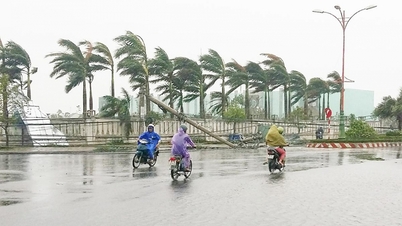 سرزمین مادری من…!