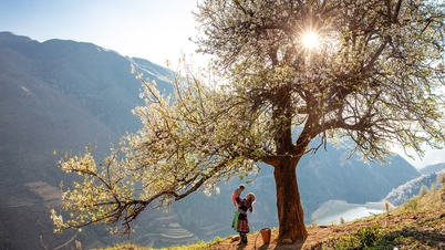 De «beste» koordinatene for å se hele utsikten over verdens beste turistlandsby Lo Lo Chai