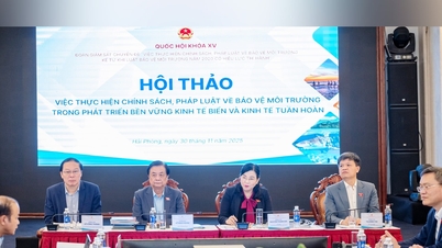 Nationalförsamlingens vice ordförande Le Minh Hoan ledde workshopen om politik och lagar om miljöskydd inom hållbar utveckling av marin ekonomi och cirkulär ekonomi.