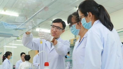 العديد من الخبراء في مجال "المليار دولار" ولكن القليل من المنتجات التجارية