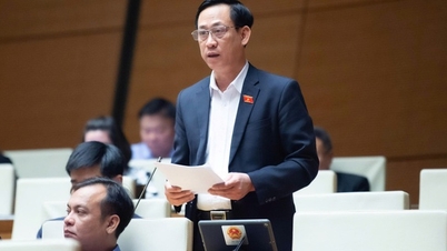 Proponer mejores políticas de apoyo e incentivos fiscales y políticas para la asignación de tareas de pedido a las agencias de prensa.