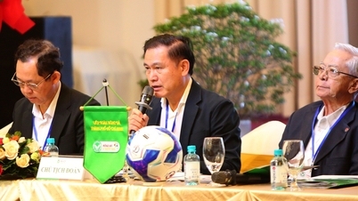 Пан Тран Ань Ту обіймає посаду голови Федерації футболу міста Хошимін на термін 2025-2030 років.