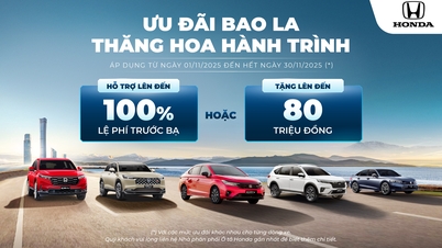 Grandes ofertas – uma jornada sublime