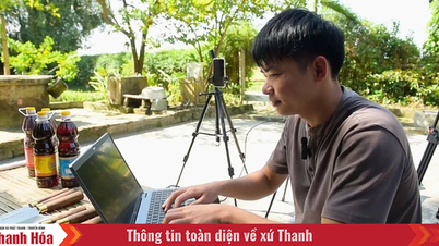 Digitaler Marketingboom: Traditionelle Produkte passen sich an, um das Wachstum zu beschleunigen