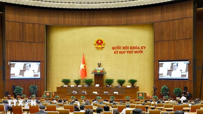 Az Országgyűlés számos fontos kérdést tárgyalt a 7. munkahéten, a 10. ülésszakon.