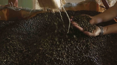 En 11 meses, las exportaciones agrícolas, forestales y pesqueras alcanzaron más de 64 mil millones de dólares, superando el récord de 2024