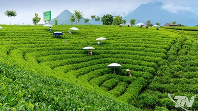 Telling Thai Nguyen stories through pictures