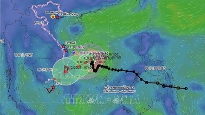15호 폭풍이 다시 방향을 바꾸어 점차 약해질 것으로 예보