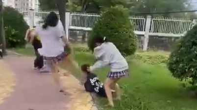 Two female students were brutally beaten by a gang of friends in front of a school gate in Ho Chi Minh City.