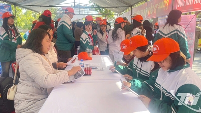 More than 300 people attended the Job Fair and Startup Consulting Day