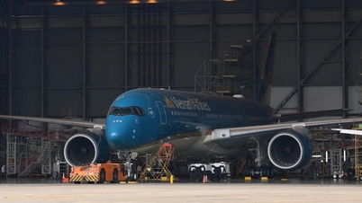 エアバスがA320型機約6,000機の運航停止を警告した後、ベトナムの航空会社から新たな展開が発表された。