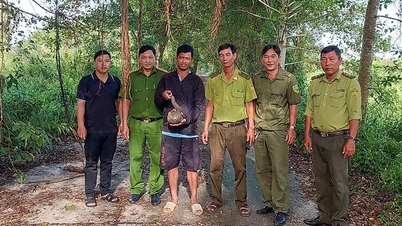Melepaskan trenggiling seberat sekitar 2kg kembali ke hutan