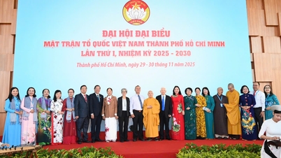 El Sr. Nguyen Phuoc Loc fue reelegido como Presidente del Frente de la Patria de Vietnam de Ciudad Ho Chi Minh para un nuevo mandato.