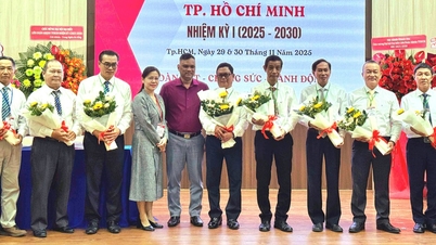 ہو چی منہ سٹی اکیڈو فیڈریشن کانگریس، ویتنام اکیڈو فیڈریشن کے قیام کی طرف